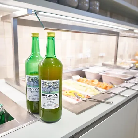 Мини-отель Gasthof Maxlhaid 3*