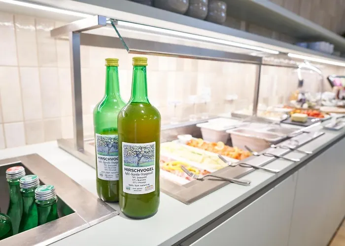 Πανδοχείο Maxlhaid 3*